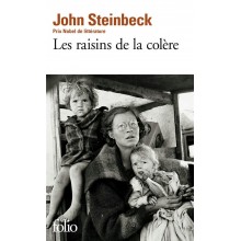 RAISINS DE LA COLERE