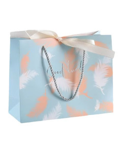Sac Cadeau Good Luck Plumes Pastel 32x26cm