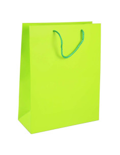 Sac Cadeau Uni 6 Couleurs Premium, 26x32x12 cm