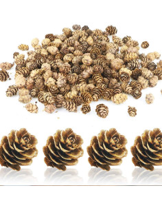 Set de Mini Pommes de Pin Naturelles
