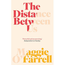 The Distance Between Us - Maggie O'Farrell