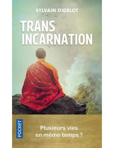 Transincarnation : plusieurs vies en même temps ? - Sylvain Didelot