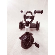 TRICYCLE JLS SH691