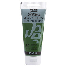 Tube Peinture Acrylique Fine Studio 100ml, Terre Verte 61 - Pébéo